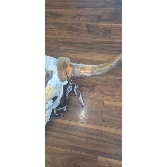 Cow Skull, Authentic Handpainted Bear on the front Wall Hanging, damaged - Picture 7 of 12